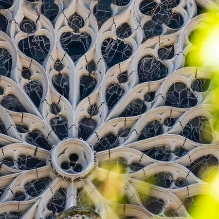 App 1- Studio Lumineux Et Jardin Hyper-centre 5min Gare Evreux