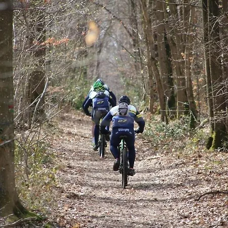 App 1- Studio Lumineux Et Jardin Hyper-centre 5min Gare Evreux