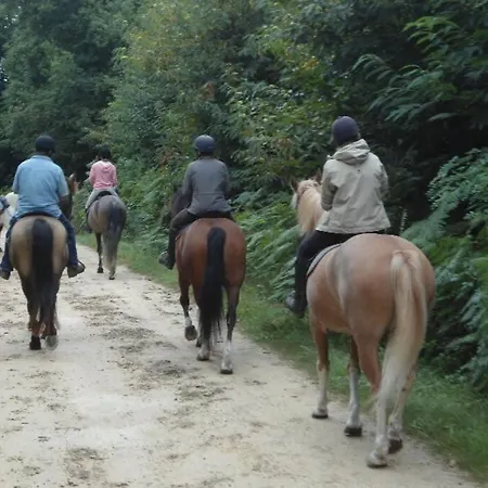 App 1- Lumineux Et Jardin Hyper-centre 5min Gare *