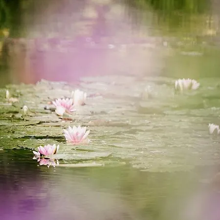 App 1- Studio Lumineux Et Jardin Hyper-centre 5min Gare