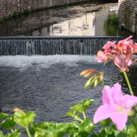 App 1- Studio Lumineux Et Jardin Hyper-centre 5min Gare Apartment *